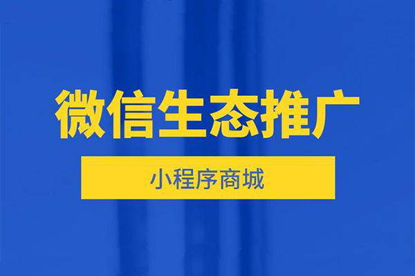 小程序开发